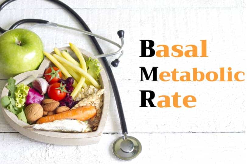 what is basal metabolism rate